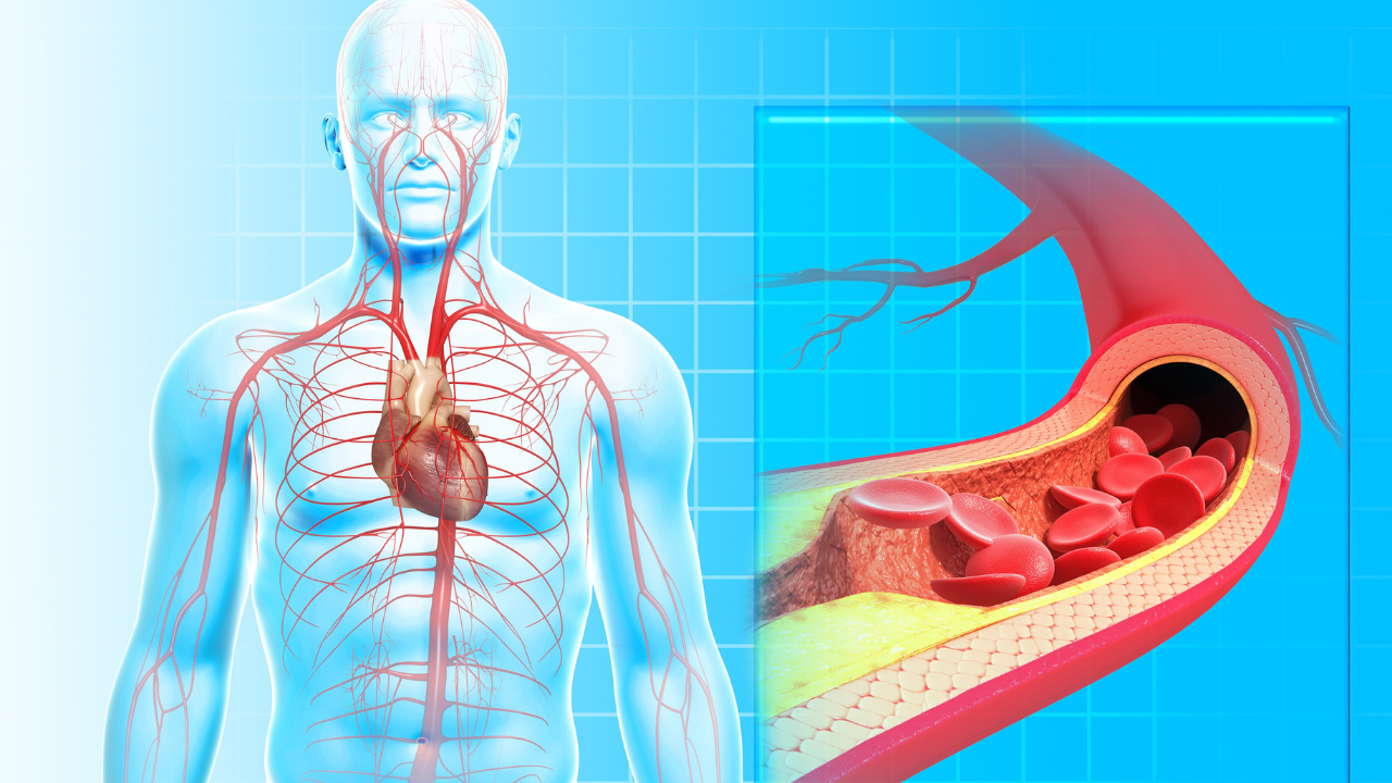 prévenir les problèmes cardiaques